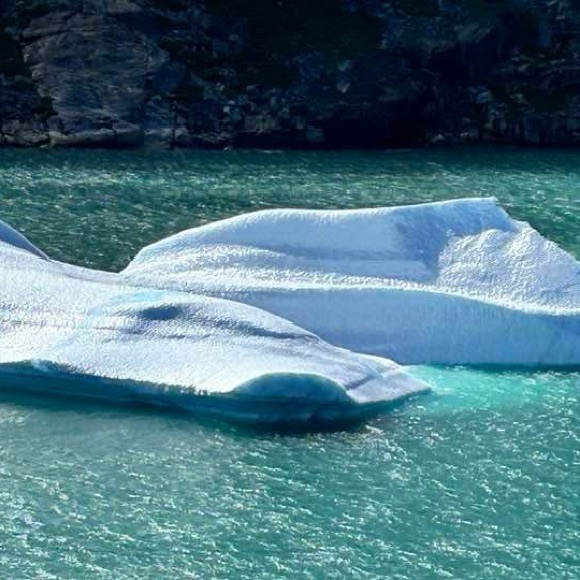 Meet your Posher, Patricia - Picture 8 of 9